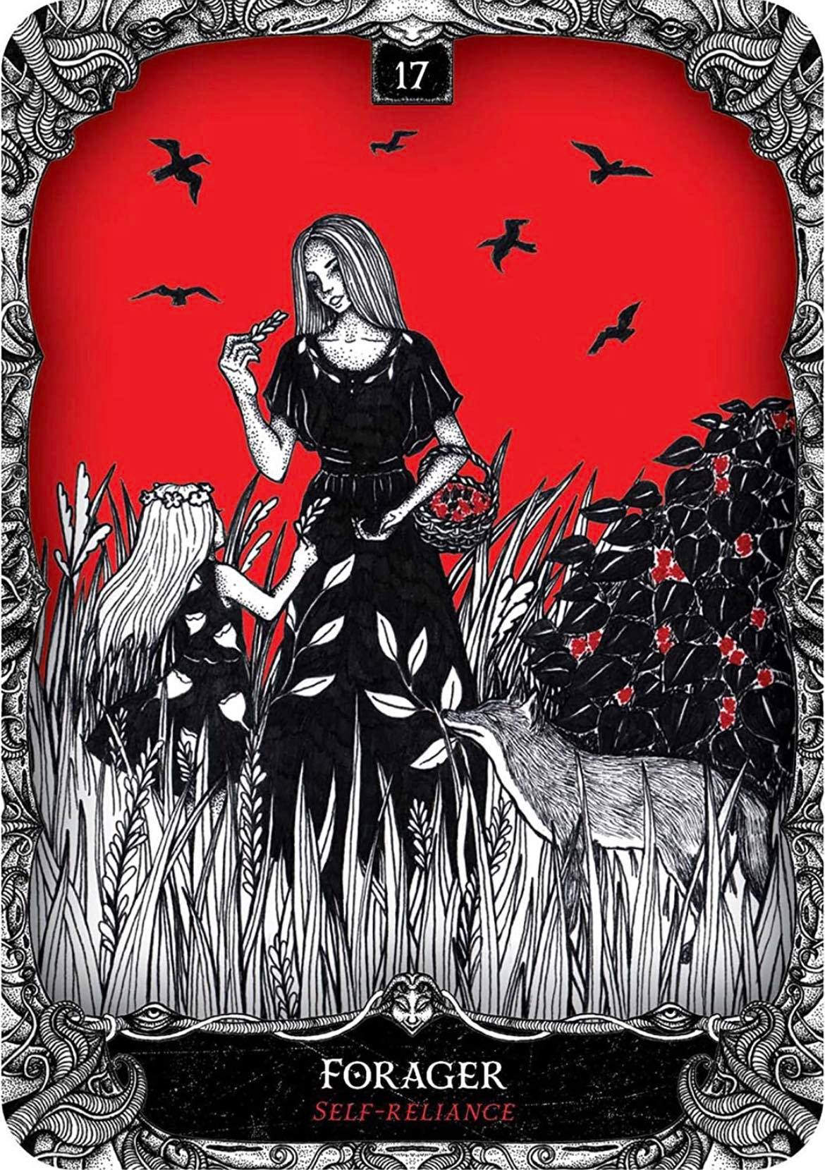 Signed Oracle of the Witch Oracle Cards