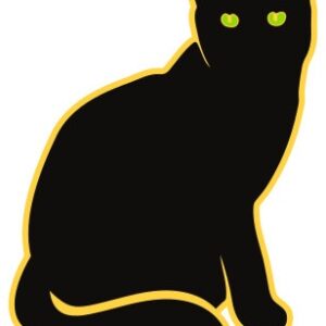 Black Cat Pendle Witch Pin Badge